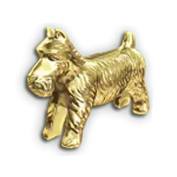 icon 4