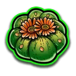 icon 4