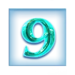 icon 10