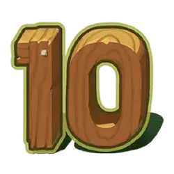 icon 10