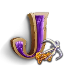 icon 9