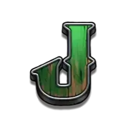 icon 10