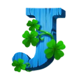 icon 9