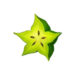 icon 6