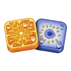 icon 3