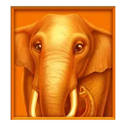 icon 2