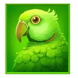 icon 3