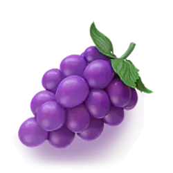 icon 5