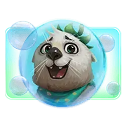 icon 5