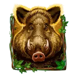 icon 3