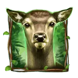 icon 4