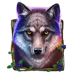 icon 1