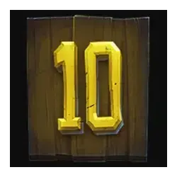 icon 10
